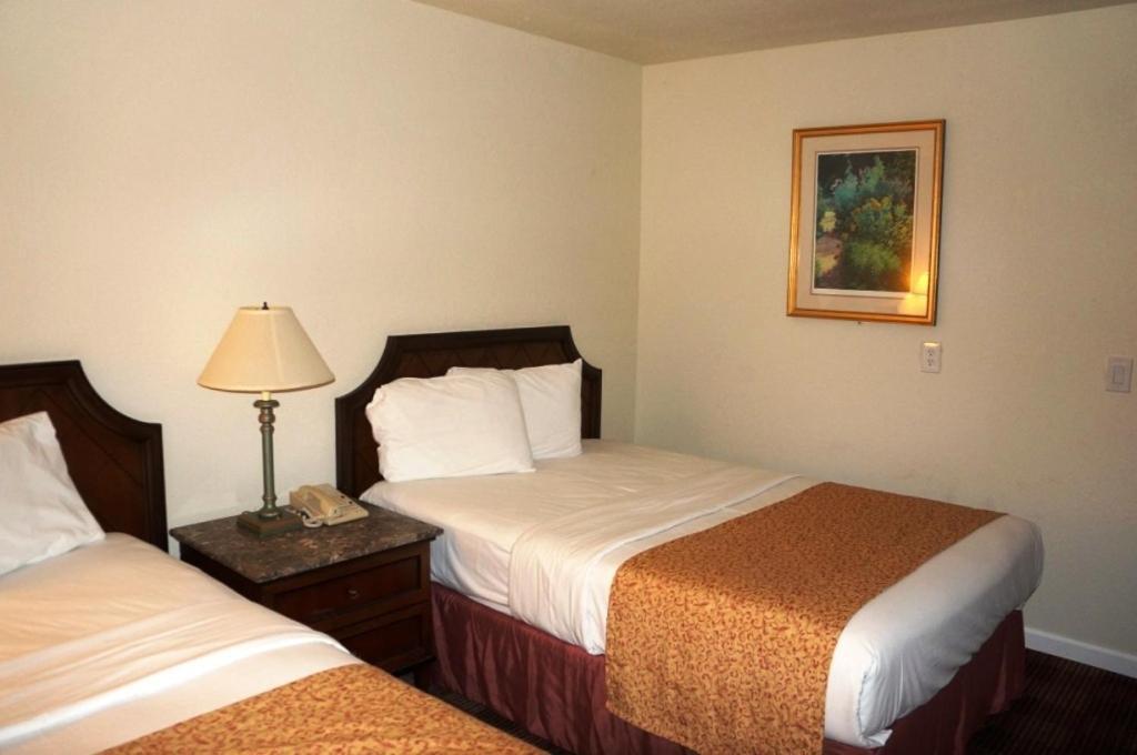 Waterford Inn المظهر الخارجي الصورة